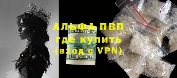 гашик Алексеевка