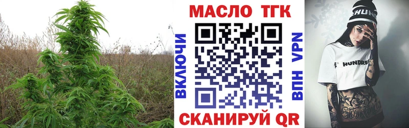 ТГК Wax  это Telegram  Циолковский 